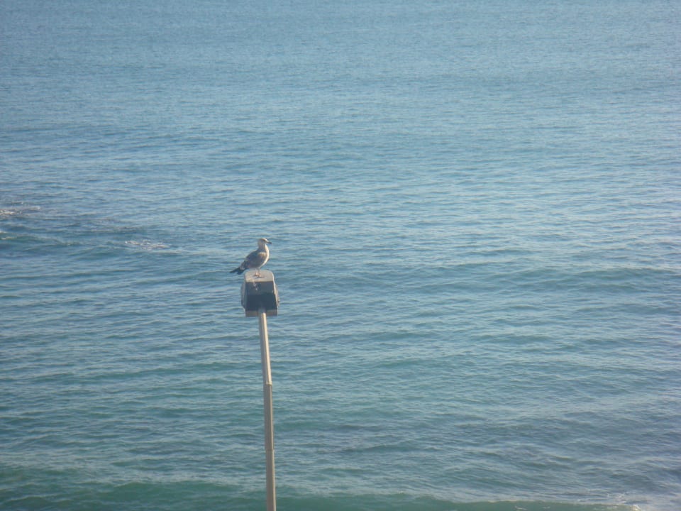 Strand Hotel Cascais Miragem