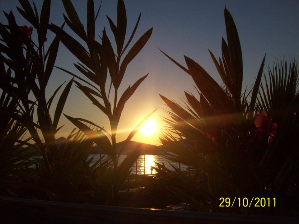 Sonnenuntergang Selectum Family Comfort Side