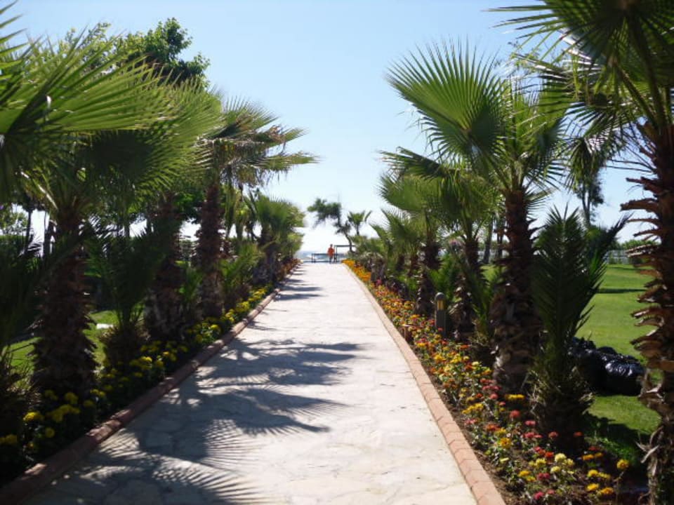 Weg zum Strand Le Jardin Resort