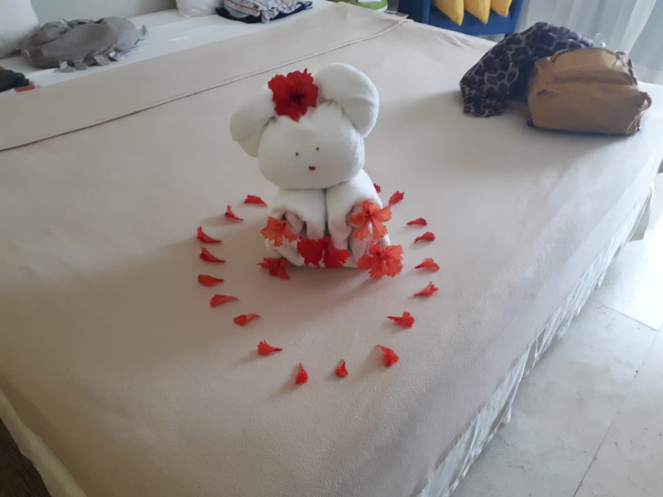 Zimmer Viva Azteca by Wyndham - All Inclusive Resort