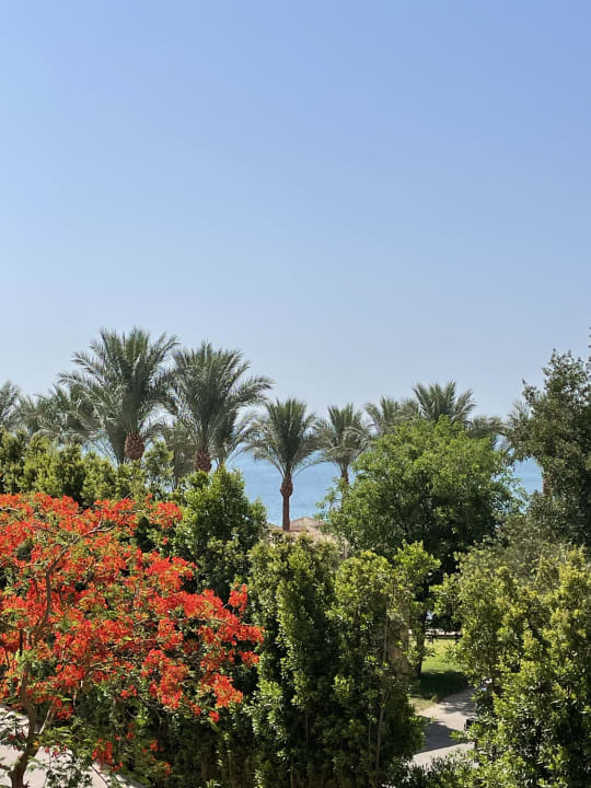 Ausblick Jaz Soma Beach