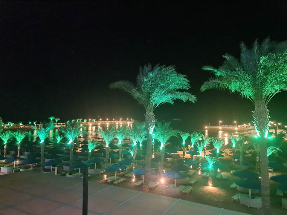 Gartenanlage Beach Albatros Resort