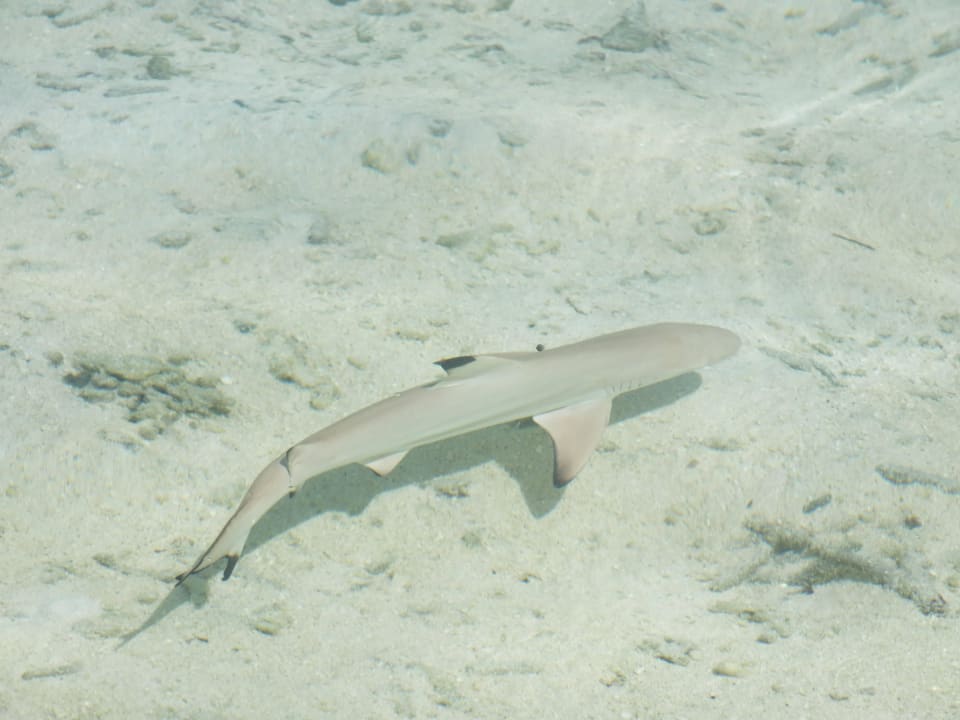 Baby-Hai Adaaran Select Hudhuran Fushi - Premium All Inclusive