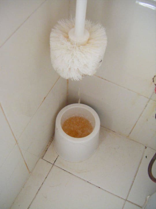 Die Toilettenbürste Samira Club