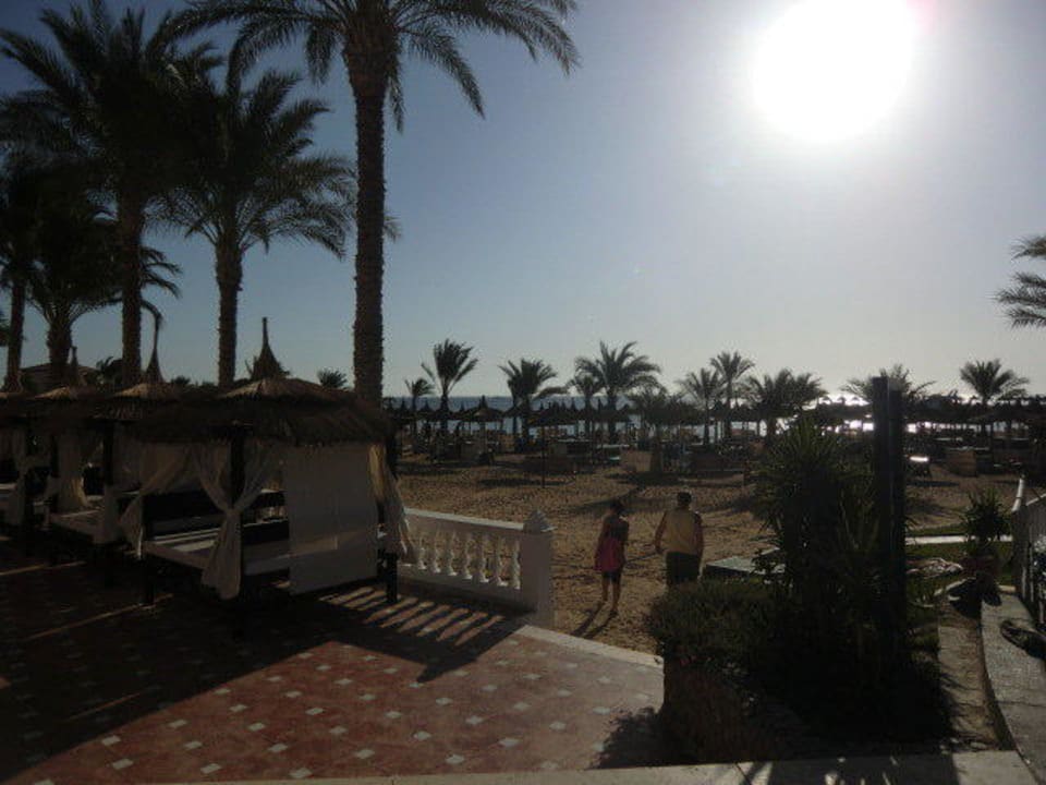 Von der Liege zum Strand Beach Albatros Resort