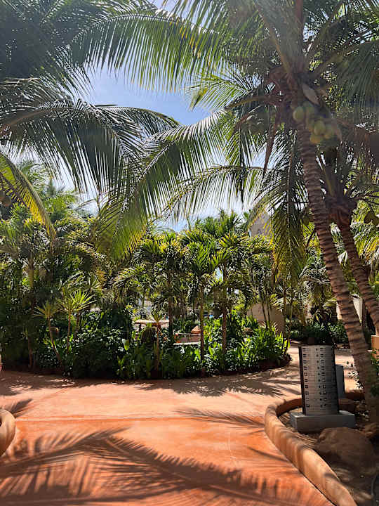 Gartenanlage Hotel Riu Touareg