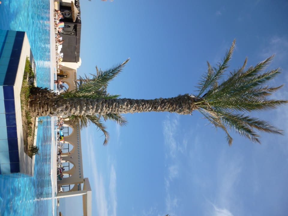 Ausblick von der Liege Zita Beach Resort