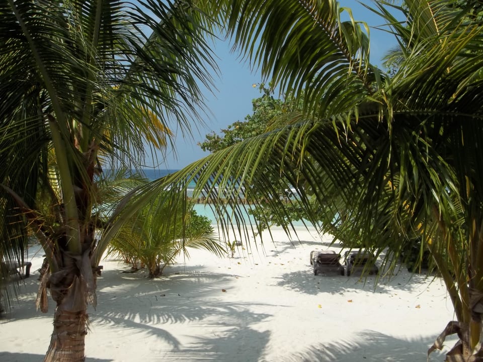 Ausblick von unserer Villa Kuredu Island Resort & Spa