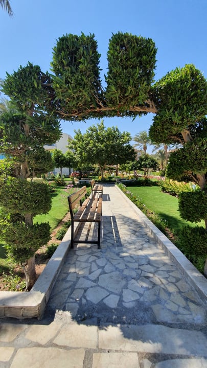 Gartenanlage Seagull Beach Resort