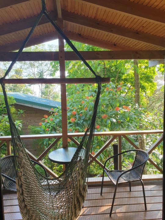 Ausblick Forest Lodge