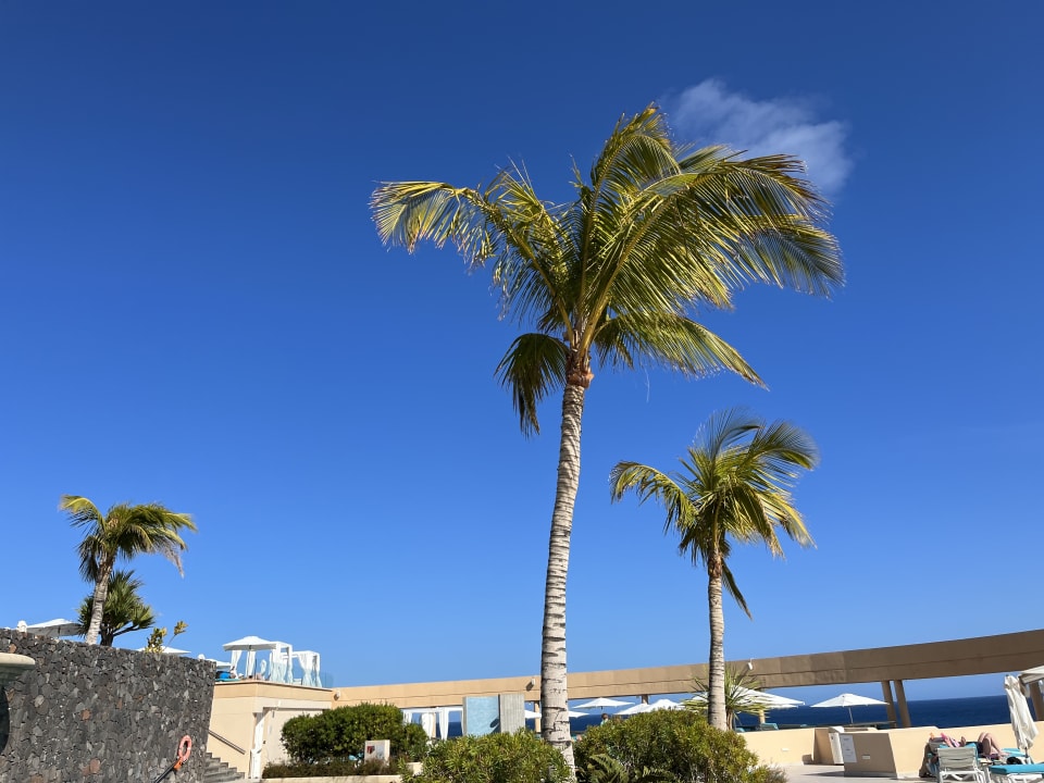 Pool Iberostar Selection Fuerteventura Palace