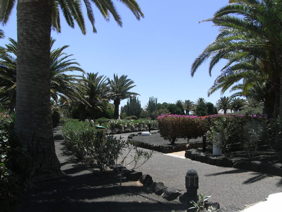 Fast wie im Paradies Relaxia Olivina