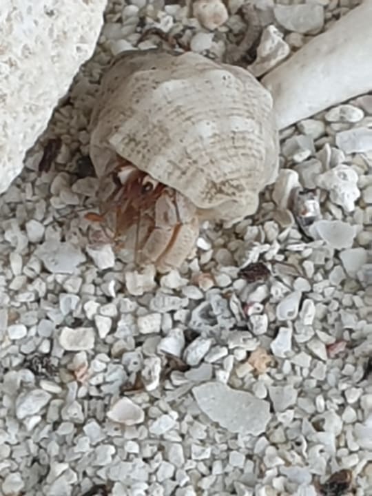 Strand Adaaran Select Hudhuran Fushi - Premium All Inclusive