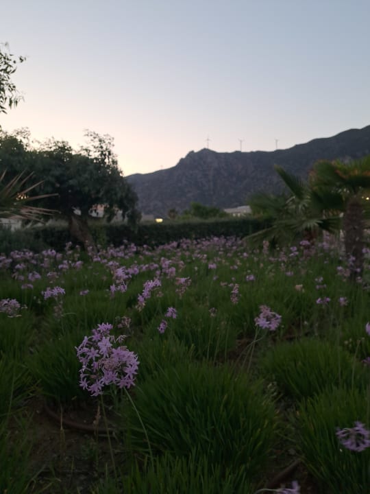 Gartenanlage Akti Palace Resort & Spa