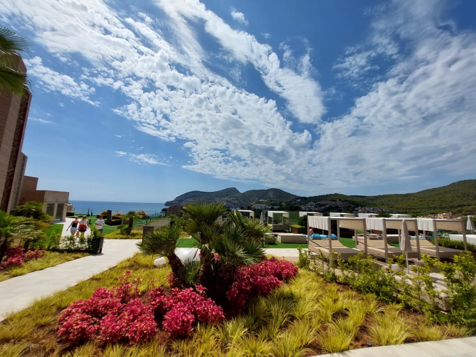 Gartenanlage Zafiro Palace Andratx