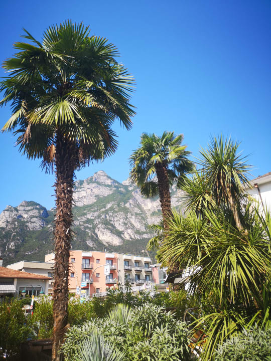 Pool Garda Suite Hotel - Tonelli Hotels