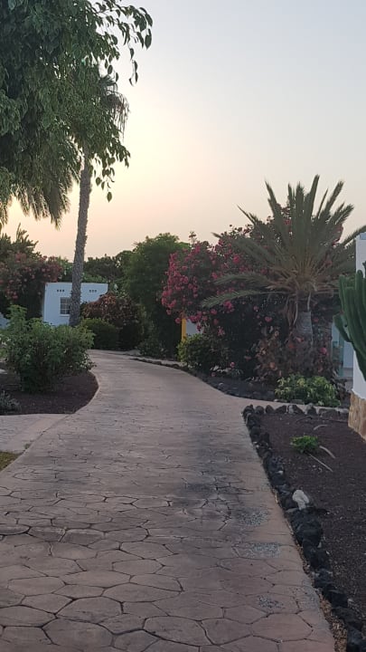 Gartenanlage Aldiana Club Fuerteventura