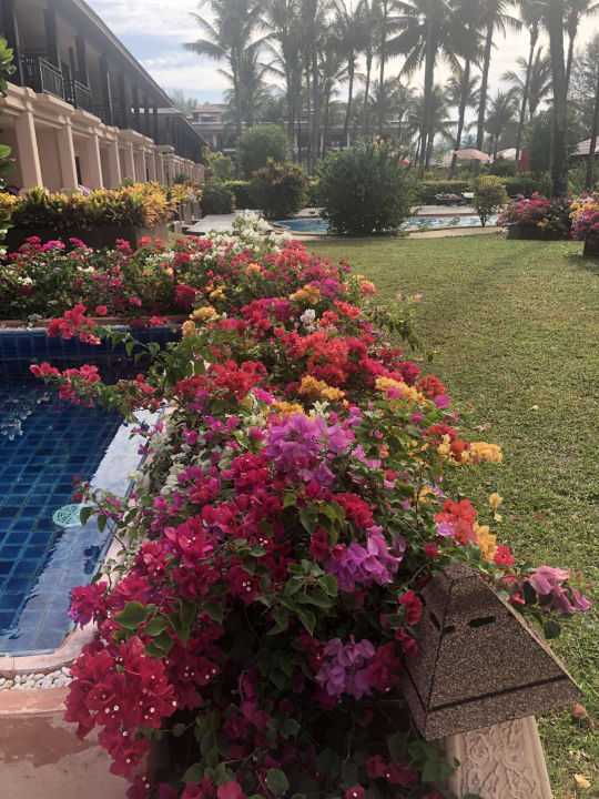 Gartenanlage The Andamania Beach Resort & Spa