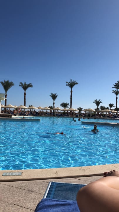 Pool Beach Albatros Resort