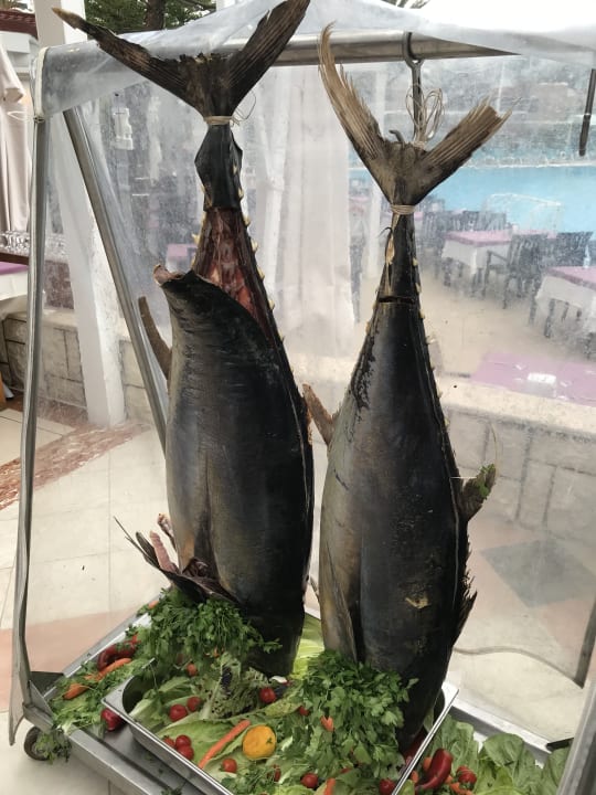 Gastro Pirate's Beach Club