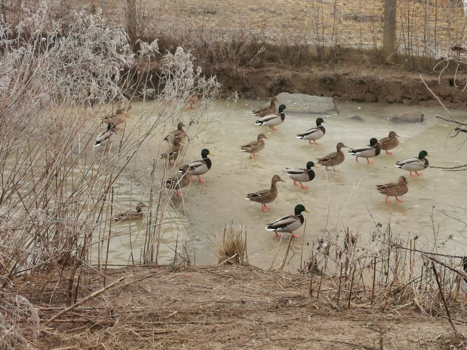 Sport & Freizeit Hotel Reiters Supreme