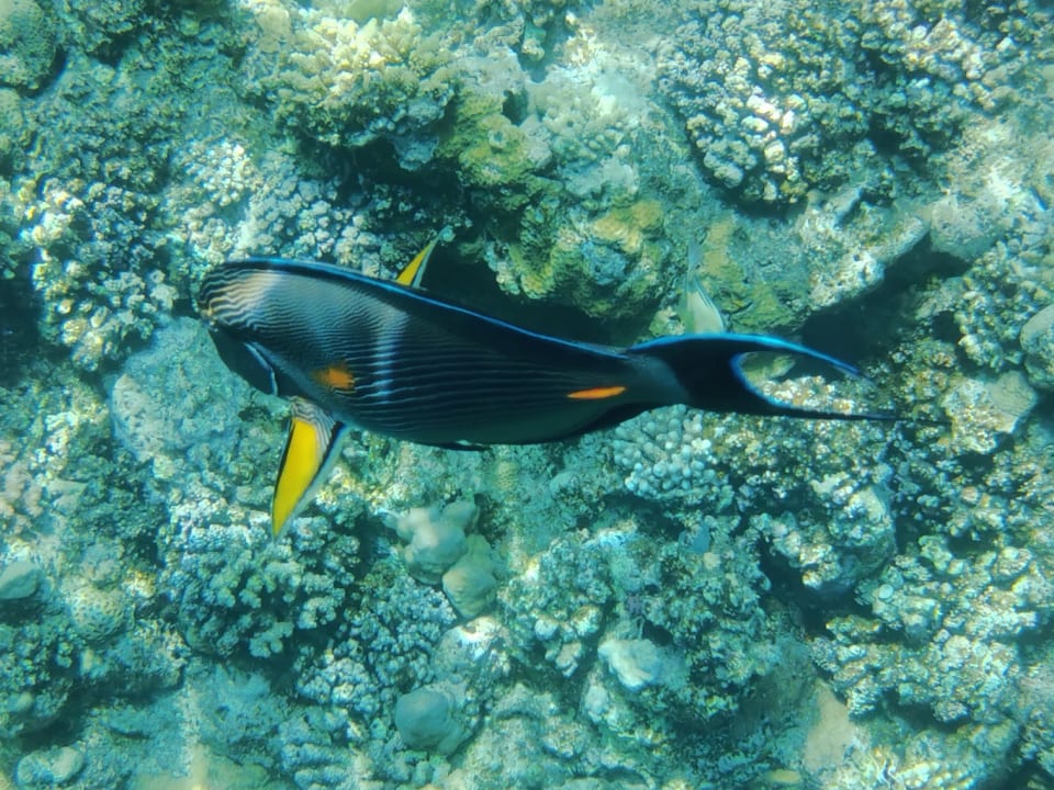 Strand Coral Hills Resorts & SPA