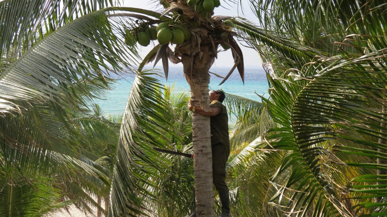 Gartenanlage Viva Azteca by Wyndham - All Inclusive Resort