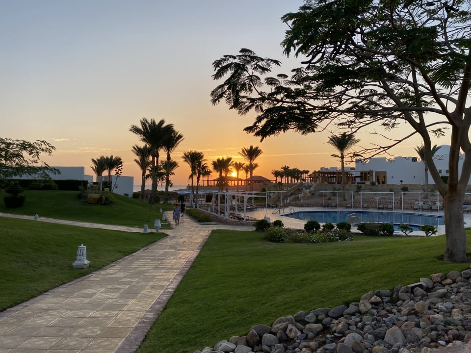 Außenansicht JAZ Neo Reef Marsa