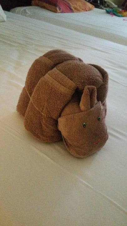 Nashorn   Hotel Riu Tequila