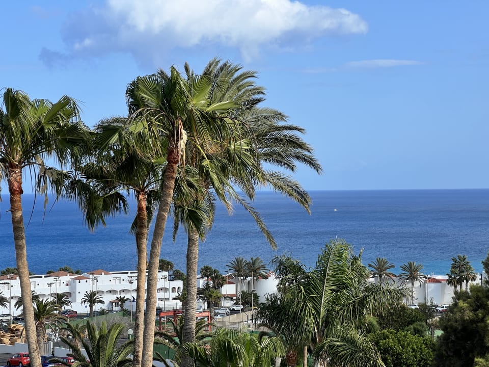 Ausblick allsun App.-Hotel Esquinzo Beach