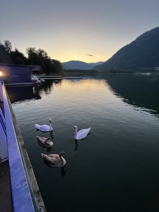 Gartenanlage ROBINSON LANDSKRON