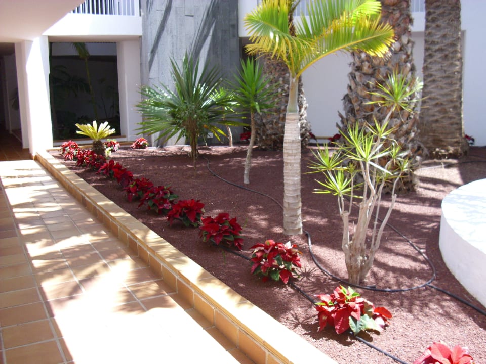 Eingang Restaurant Hotel Riu Paraiso Lanzarote