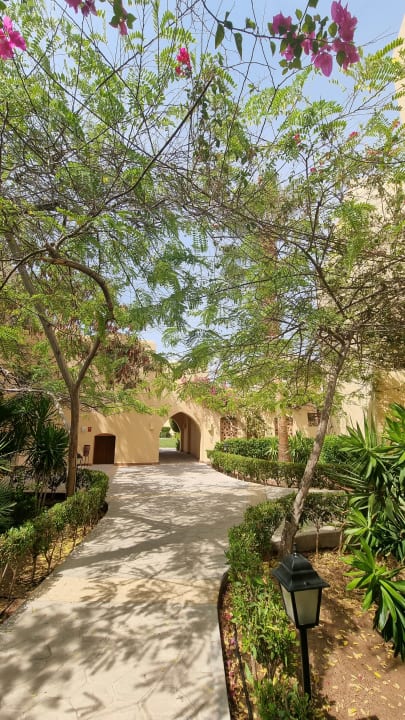 Gartenanlage Steigenberger Coraya Beach - Adults only