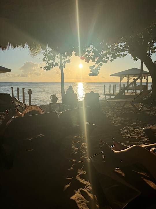 Strand Dreams La Romana Resort & Spa