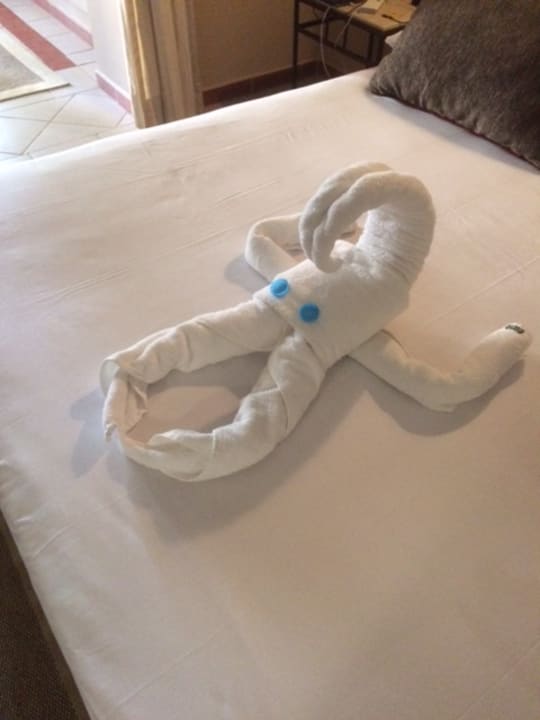 Arbeit des Zimmerboys Jaz Makadi Oasis Resort