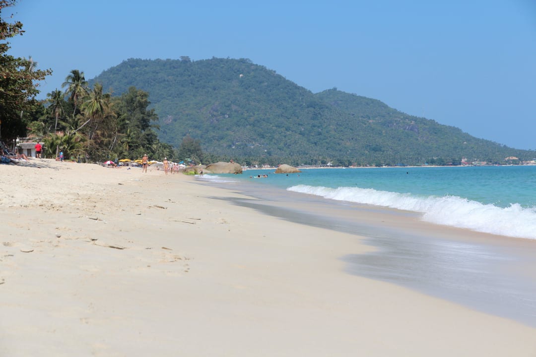 Hotel-Strand Hotel Samui Beach Resort