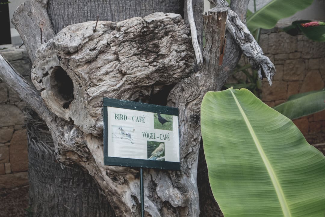 Gartenanlage Phãea Cretan Malia