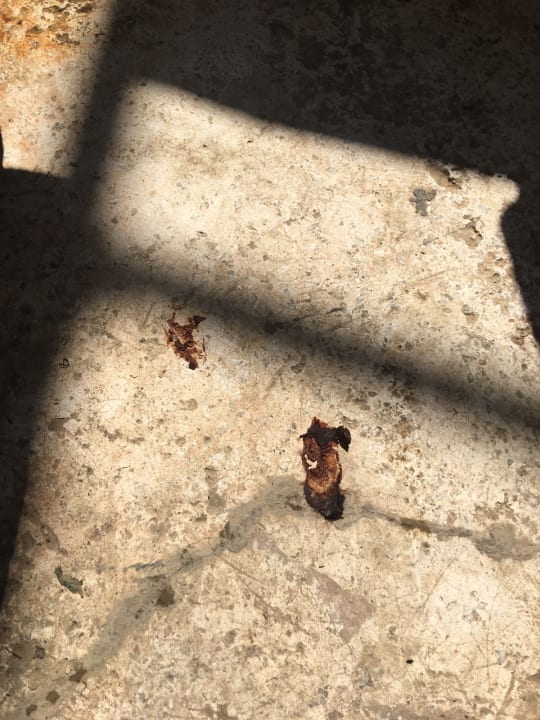 Sonstiges Larina Resort Spa & Hotel