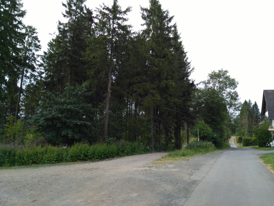 Ausblick Der schöne Asten - Resort Winterberg