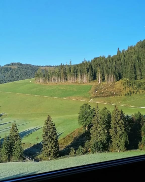 Ausblick Hotel Neubergerhof