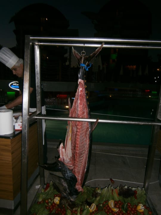 Fisch nach dem Essen Alaiye Resort & Spa