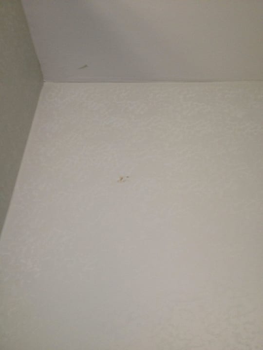 Flecken an der Decke Limak Lara Deluxe Hotel & Resort