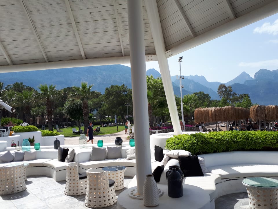 Gastro Balmy Foresta