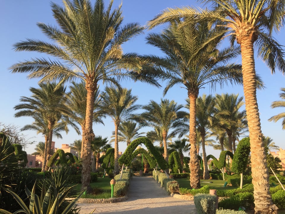 Gartenanlage Sentido Akassia Beach