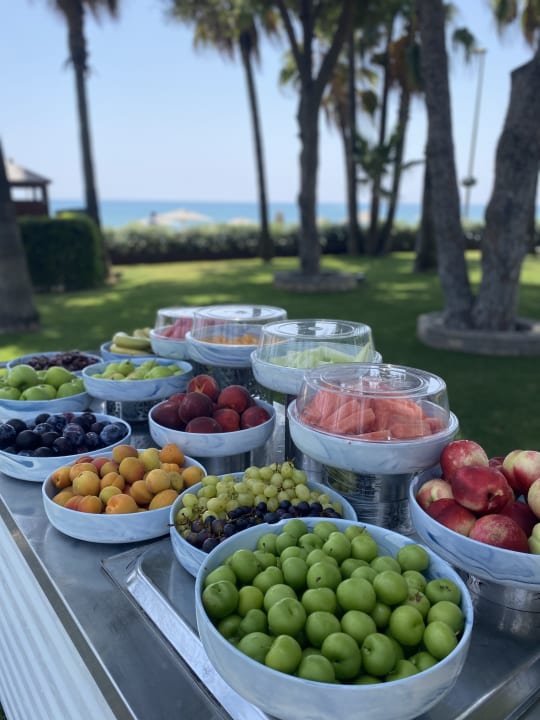 Gastro Acanthus Cennet Barut Collection