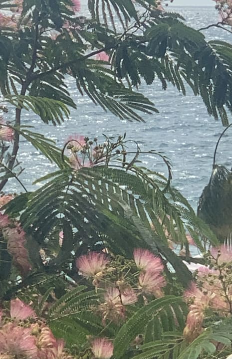 Gartenanlage Sentido Marea