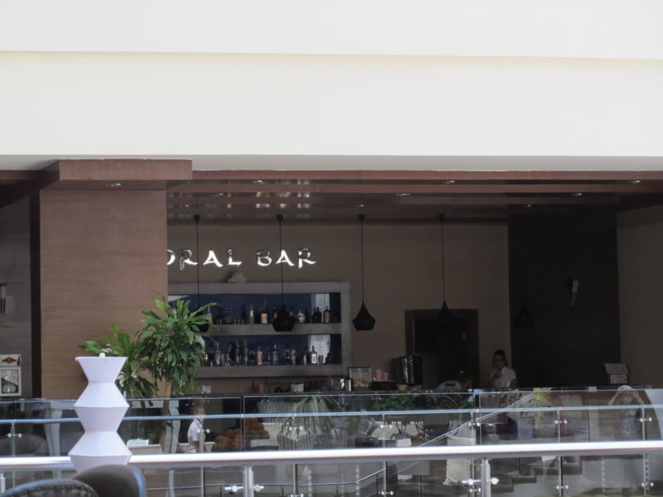 Coral - Bar Seaden Sea World Resort & Spa