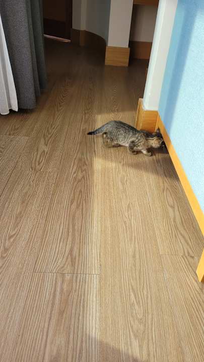 Zimmer Limak Limra Hotel & Resort