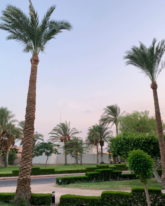 Gartenanlage Pharaoh Azur Resort