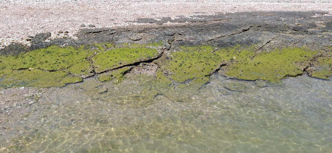 Strand Steigenberger Coraya Beach - Adults only